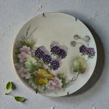 Vintage Hutschenreuther Selb Bavaria Hand-Painted Floral Plate Germany 8” - $30.60