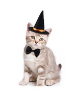 Halloween Pet Witch Hat + Bow Tie Set - $169.73 MXN