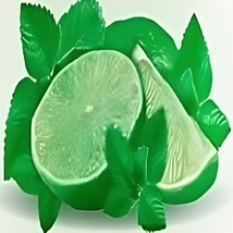 &#39;Specialty Summer &#39;Egyptian Mojito-Lime Mint Shampoo &amp; Soap Set++Free Mo... - $14.99