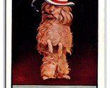 Comic Dog In Top Hat On Easy Street DB Postcard G19 - $4.90