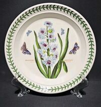 Portmeirion Botanic Garden 8.5&quot; Salad Luncheon Plate Hyacinthus Orientalis - $26.24