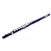 **Big Saving** Sky Purple/Silver Close Hole Flute 2020 Model *Great Gift* - £103.90 GBP