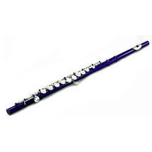 **Big Saving** Sky Purple/Silver Close Hole Flute 2020 Model *Great Gift* - $129.99