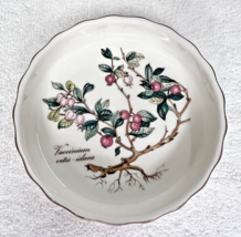 Villeroy &amp; Boch Botanica Wine Bottle Coaster Vaccinium 4 1/2 x 1 Inch - $302.09 MXN