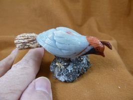 (Y-BIR-QU-16) Quail white red black bird gemstone STONE figurine Peru qu... - $22.90