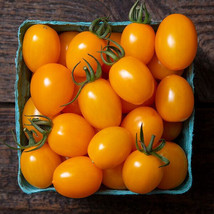 USA SELLER 50 Seeds Cannellino Tomato Juicy Vegetable Fast Shipping - £8.23 GBP