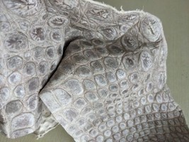 2 Pieces Genuine Crocodile Belly Skin Remnants Supple Hide Himalaya Gray-white - £30.89 GBP