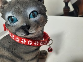 Dog / Cat colour collars for small breeds Red - £1.82 GBP