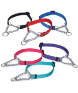 100 Chain Martingale Dog Collar Bulk Shelter Rescue Vet Assorted Color P... - €648,34 EUR+