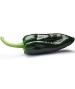 Ancho Poblano Pepper Garden 30 Seeds  - $10.38