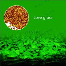 300 Seeds Aquarium Aquatic Water Grass Plant Glossostigma Hemianthus Callitricho - $11.28