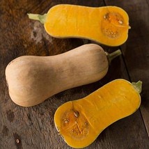 KBS Jack-O-Lantern Pumpkin Seeds Home Garden  - $208.73 MXN