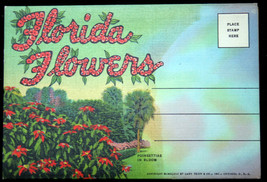 1948 Color Litho Linen Post Card accordion-fold Album Florida Flowers - £4.09 GBP