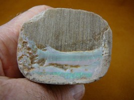 (O-240-42) 201 g white green red flash Coober Pedy opal specimen stone Australia - £38.10 GBP