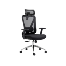 Truly Ergonomic Mesh Office Chair with Headrest and Lumbar Support - $3,951.68 MXN