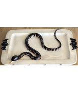 Department 56 Halloween Plate Serving Tray Frankenstein&#39;s Lab Snake Divided - £48.58 GBP