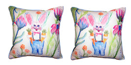 Pair Of Betsy Drake Mr. Farmer Small Outdoor Indoor Pillows 12 X 12 - £70.95 GBP