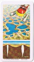 Brooke Bond Red Rose Tea Card #12 Patterned Land The Arctic - £0.75 GBP