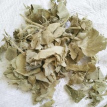 1.1 LB Dried Herbs Aristolochia mollissima Hance Leaves, Xun Gu Feng Ye - £23.89 GBP