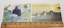 Vtg Ecuador Animal Retile Birds Photo Post Card Lot of 14 South America ... - $19.34