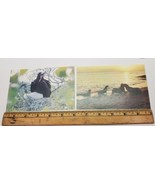 Vtg Ecuador Animal Retile Birds Photo Post Card Lot of 14 South America ... - €16,79 EUR