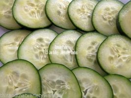 Cucumber Seeds National Pickling Non GMO Crunchy Canned or Fresh - Dill or Sweet - $3.96