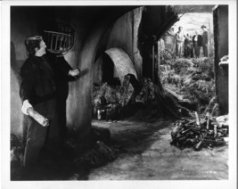 *Frankenstein Meets The Wolf Man (1943) Lugosi, Chaney, Ouspenskaya, Massey 8x10 - £19.67 GBP