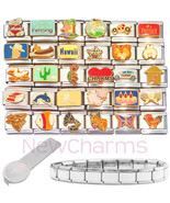30 Popular Italian Charms, Tool &amp; Starter Bracelet - Cactus Cake Dog Fis... - $39.48