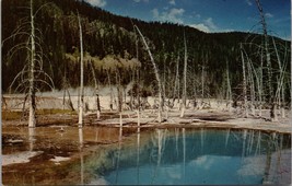 One of Many Hot Pools in the Vicinity of Old Faithful Yellowstone Postcard PC363 - £3.91 GBP