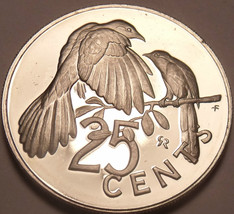 Large Rare Proof British Virgin Islands 1975 25 Cents~Mangrove Cuckoo~Fr... - £5.39 GBP