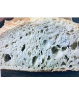 T0P SELLER 0RIGINAL,SAN FRANCISC0 S0URD0UGH, STARTeR- &quot;sally&quot; relist - $10.72 CAD