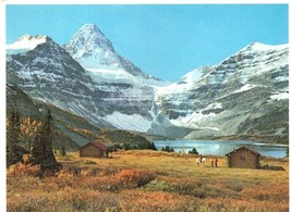 Mount Assiniboine British Columbia Alberta Border Canada Postcard - £5.43 GBP