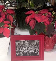 THE SHINING OVERLOOK BALLROOM SCENE IN RED VELVET FRAME FRAMED 9 x 7 - $27.71