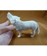 wolf-w58 white standing Wolf shed ANTLER figurine Bali detailed carving ... - $156.39 CAD