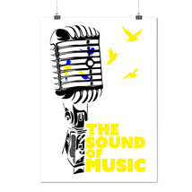 Freedom Saying Song Music Microphone Matte/Glossy Poster A0 A1 A2 A3 A4 | Wellco - $7.99+