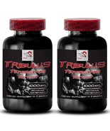 Body Energy - TRIBULUS TERRESTRIS EXTRACT - Daily Activation 2 Bottle 18... - €22,33 EUR