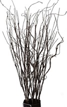 Feilix 10Pcs Lifelike Curly Willow Branches Decorative Dried Artificial ... - $33.99