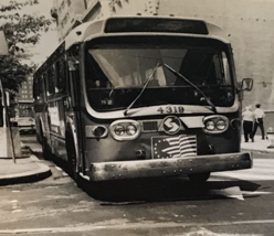 Southeastern Pennsylvania SEPTA Bus #4319 Chestnut Independence B&amp;W Photo - £7.56 GBP