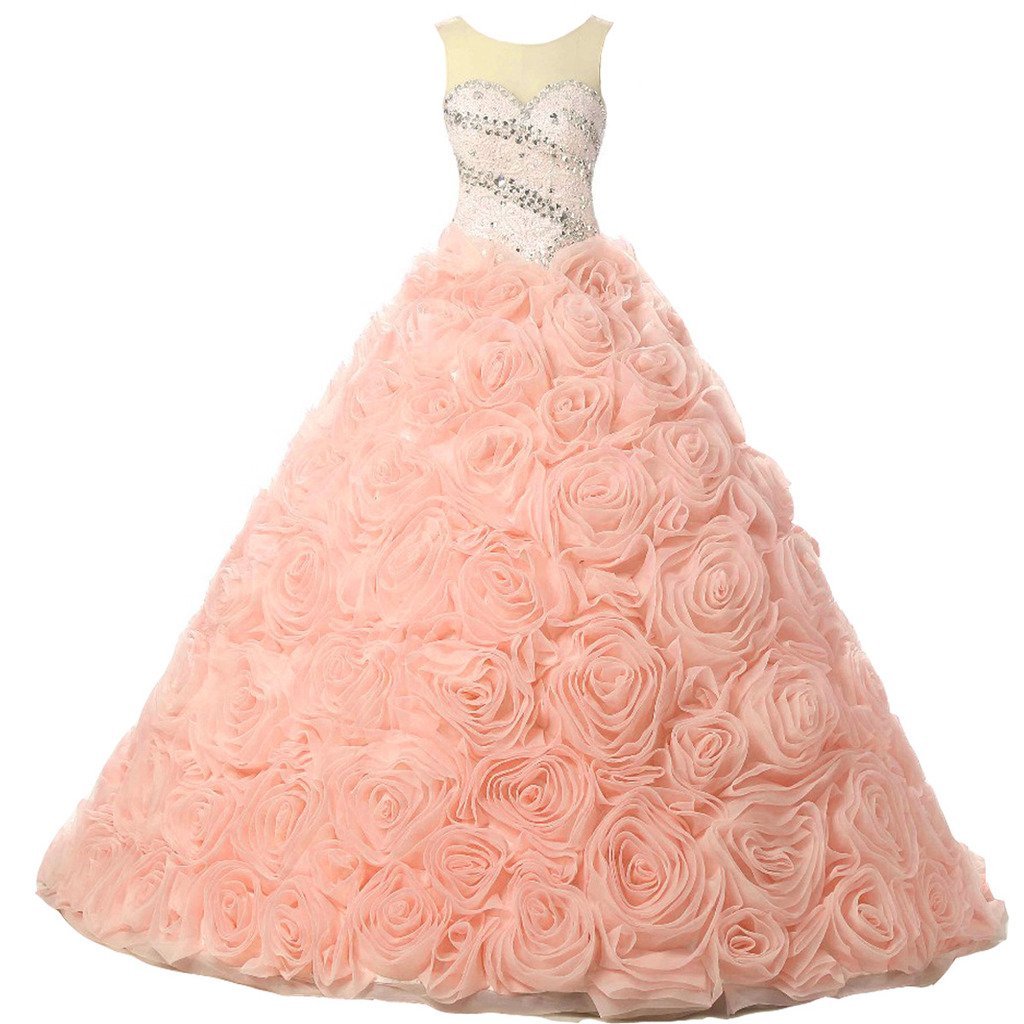 Kivary Floral Beaded Crystals Sheer Bateau Long Corset Prom Quinceanera Dresses