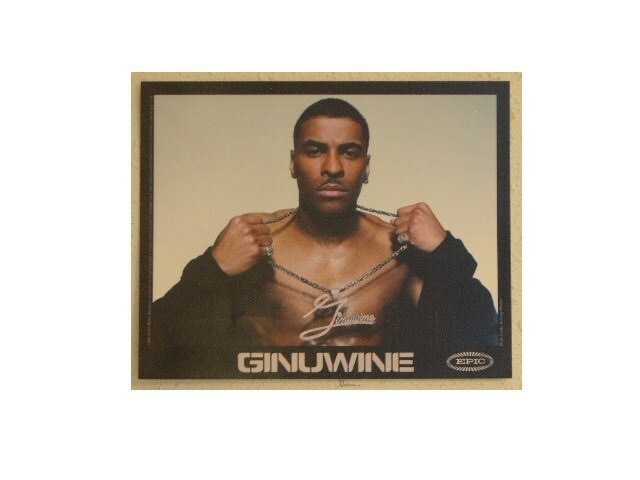 Ginuwine Premere Kit Foto Mint - $26.87