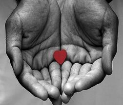 Item image 1 image 1