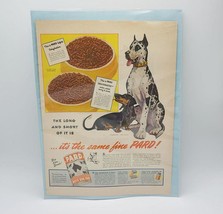 Pard Dog Food Dachshund Great Dane Magazine Ad Print Design Advertising - $12.86