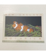 Postcard New England Aquarium, Clownfish, Boston, Massachusetts - $6.44