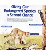 2002 International Paper Poster Life Of A Forest Florida Panther Animals... - $41.01 CAD