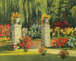 c1930 View in Park Marietta Ohio Linen Postcard Nature Flowers - £13.57 GBP