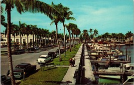 Coconut Palm-Lined Avenue Along Yacht Basin Ft. Myers FL Postcard PC46 - £3.92 GBP