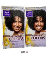 2x SOFTSHEEN CARSON Dark &amp; Lovely Hair Color And Shine 395 NATURAL BLACK - $1,647.13 MXN