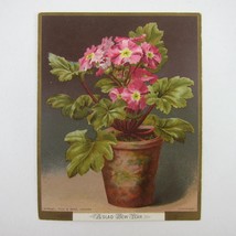 Victorian Greeting Card New Years Raphael Tuck &amp; Sons Pink Primrose Flow... - £4.69 GBP