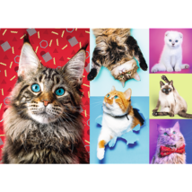 1000 Piece Jigsaw Puzzles, Happy Cats, Pets, Silly Animals, Cats and Kit... - $20.23