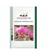 Echinocereus reichenbachii - 10 PCS Seeds - $13.90